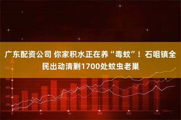 广东配资公司 你家积水正在养“毒蚊”！石咀镇全民出动清剿1700处蚊虫老巢